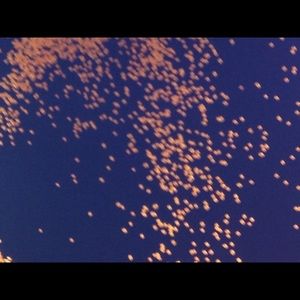 Meet your Posher, Loretta